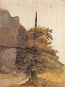 A Tree in a Quarry, Albrecht Durer